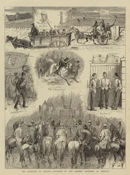 Die Agitation in Irland, Vorfälle bei der Parnell-Empfang in Limerick